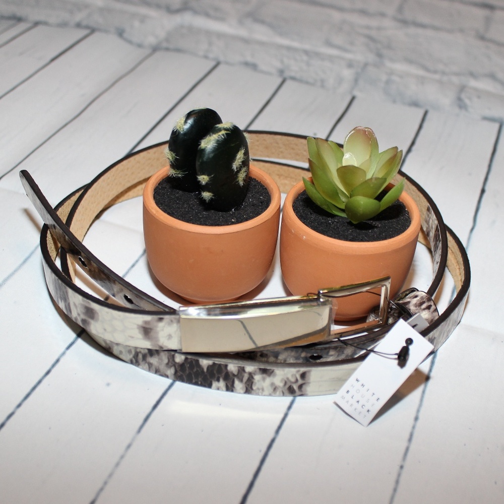WHBM Skinny Snake Belt